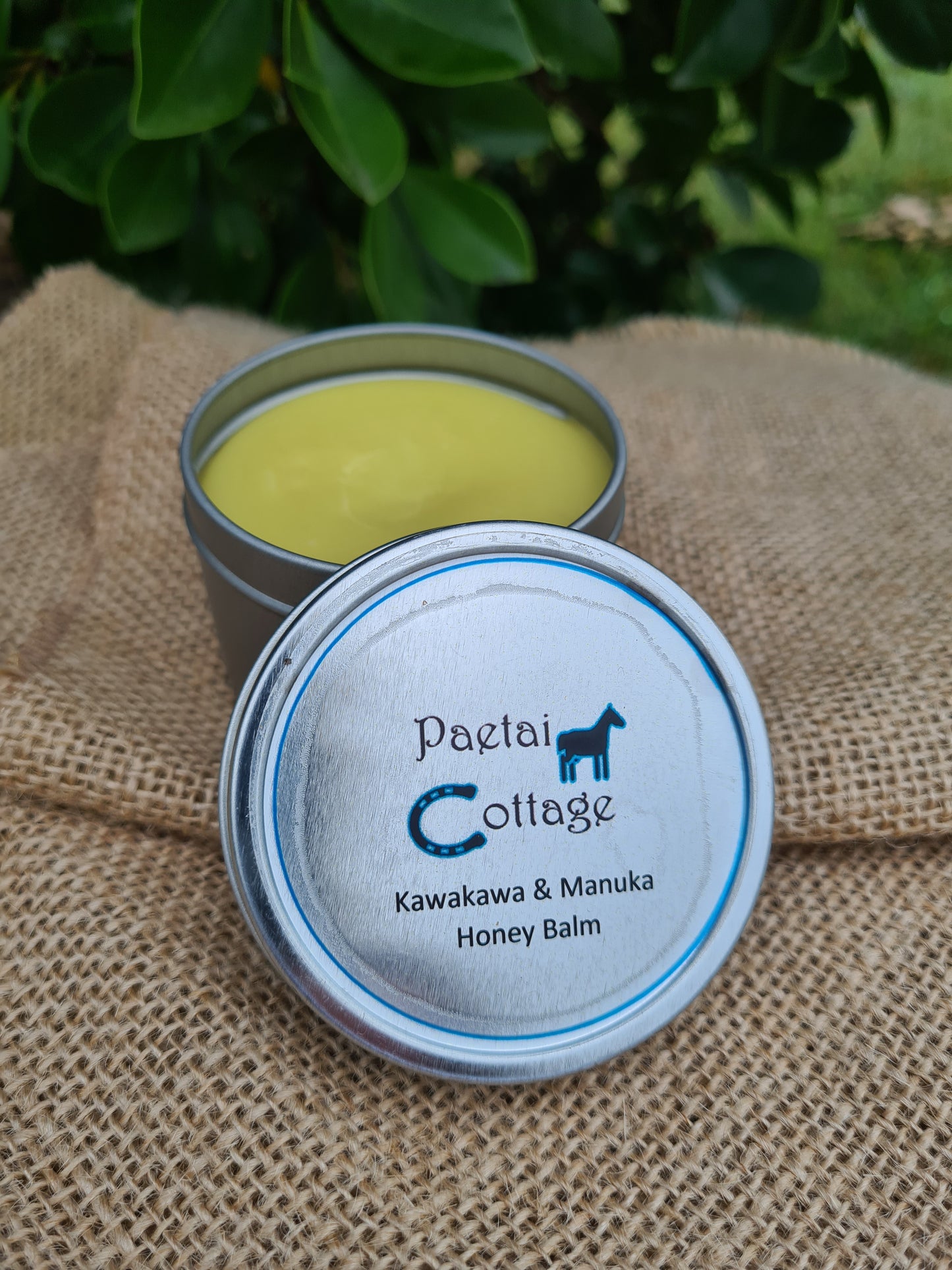 Kawakawa Balm